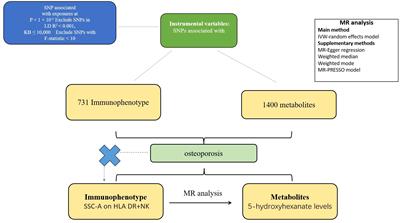 The relationship between metabolite mediated immune regulatory imbalance and the occurrence of malignant tumors of bone and articular cartilage: a Mendelian randomization study